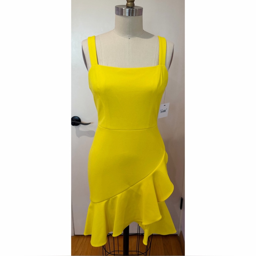 Sage Collective Mini Dress